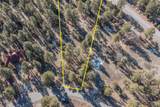 TBD Badger Trail - Photo 10