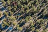TBD Badger Trail - Photo 11