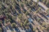 TBD Badger Trail - Photo 12