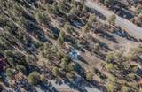 TBD Badger Trail - Photo 14