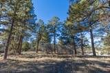 TBD Badger Trail - Photo 6