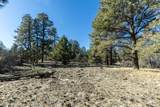 TBD Badger Trail - Photo 7