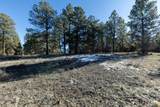 TBD Badger Trail - Photo 8