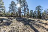 TBD Badger Trail - Photo 9