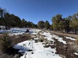TBD Pine Drive - Photo 15