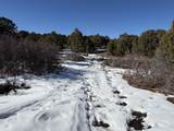 TBD Pine Drive - Photo 37