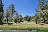 1640 Marmot Drive - Photo 9