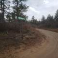  Address Not Published - Photo 2
