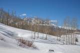 530 Elk Run - Photo 33