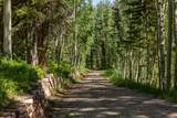 530 Elk Run - Photo 47