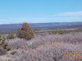 tbd County Road 44Z Road - Photo 3