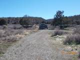 tbd County Road 44Z Road - Photo 4