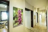 257 Sherman Street - Photo 19