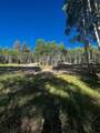 1255 Spruce Road - Photo 1