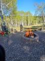 1255 Spruce Road - Photo 14