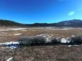 TBD Hunter - Photo 7