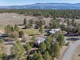 51 Red Fox Lane - Photo 31