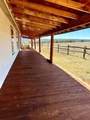 39678 Eagle Drive - Photo 13