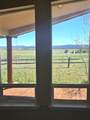 39678 Eagle Drive - Photo 19