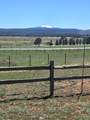 39678 Eagle Drive - Photo 49