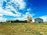 39678 Eagle Drive - Photo 8