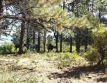 Lot 3 Avalon Drive - Photo 6
