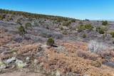 9 Gurley Reserve - Photo 26