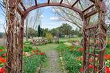 281 Stormy Trail - Photo 44
