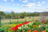 281 Stormy Trail - Photo 46