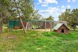 281 Stormy Trail - Photo 49