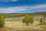44501 Us-160 - Photo 70