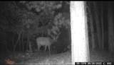 TBD M44 - Photo 25