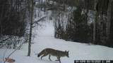 TBD M44 - Photo 26