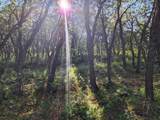 TBD M44 - Photo 41