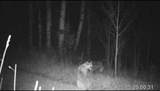 TBD M44 - Photo 45