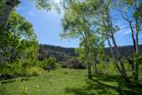 TBD M44 - Photo 5