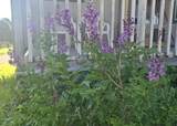 90 Spruce Drive - Photo 33