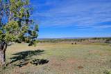 32096 Co-145 - Photo 23