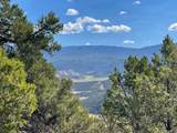 Lot 43 Pine Drive - Photo 3