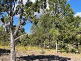 Lot 43 Pine Drive - Photo 7
