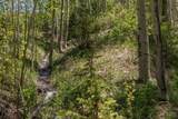 Lots 2 & 4 Elk Run - Photo 7