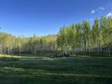 Lot 25 Wapiti - Photo 2