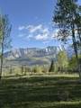 Lot 25 Wapiti - Photo 6