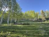 Lot 25 Wapiti - Photo 7