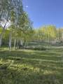 Lot 25 Wapiti - Photo 8