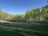 Lot 25 Wapiti - Photo 9