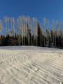 tbd Arizona Dr - Photo 3