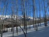 tbd Arizona Dr - Photo 8