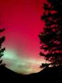 3543 Million Dollar Highway - Photo 10