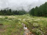 3543 Million Dollar Highway - Photo 16